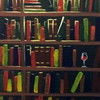hidden_library